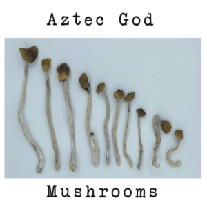 Aztec God - Dry Mushrooms