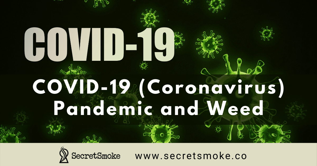 COVID-19 Coronavirus Pandemic and Weed