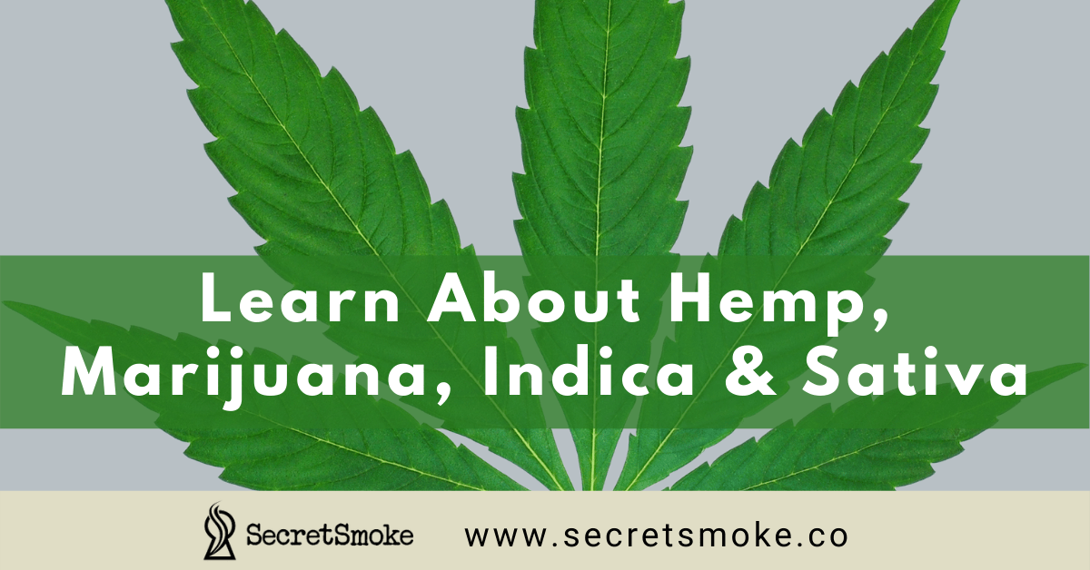 Learn About Hemp, Marijuana, Indica and Sativa