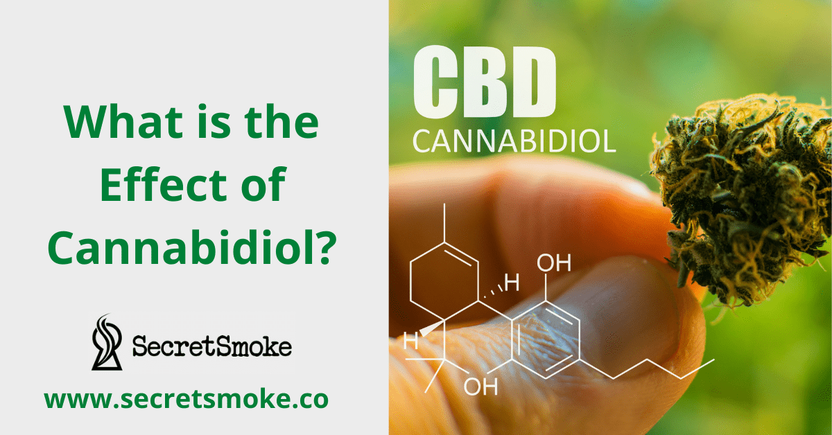 What is the Effect of Cannabidiol?